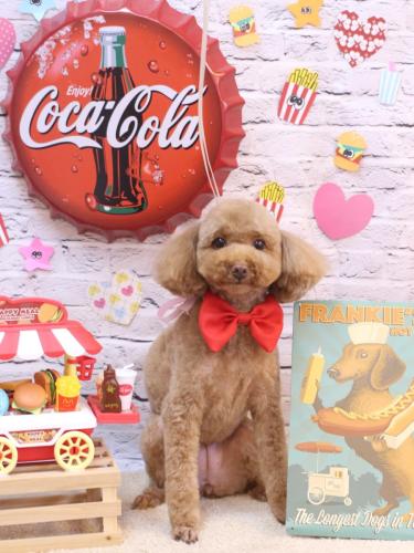 20230912モカちゃん